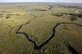 Chenal dans Delta de l'Okavango
