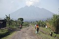 Piste et cultures au pied du volcan Sabyinyo , l o les Gorilles de montagne essayent de survivre...