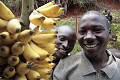 Jeunes vendeurs de bananes sur la route