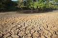 Terre craquelée et déssechée l'été sous le soleil lors de la canicule 2006.