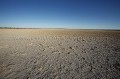 Kalahari Desert during the Dry Season.