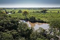 Pantanal Landscape