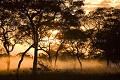 Sunrise in the Pantanal