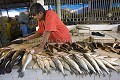 Manaus Fish Market
