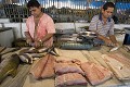 Manaus Fish Market