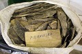 Traditional Herbal Remedies (Piranhea trifoliata )