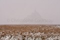 Le Mont St Michel sous la neige