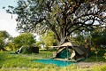 Mobile Camp in the Bush. Botswana.