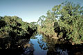 Paysage de fort marcageuse au Pantanal