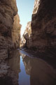 Le Canyon de Sessriem aprs la saison des pluies / Namib