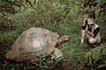 Giant Tortoise &.... human scale !