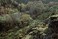 Le Val sans Retour à l'automne / Forêt de Brocéliande