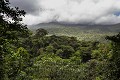 Forêt pluviale au Costa Rica. 
Parc National de Tenorio. Costa Rica.

 Costa Rica 
 Tenorio 
 forêt 
 parc national 
 pluviale 
 rain forest 