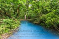 Rivière le Rio Celeste dans le Parc National de Tenorio. Costa Rica. 
C'est la rencontre entre les eaux de deux rivières qui provoque cette coloration particulière. Costa Rica 
 Rio Celeste 
 Tenorio 
 bleu 
 blue 
 color 
 couleur 
 eau 
 fluo 
 nature 
 optique 
 phénomène 
 rivière 
 water 