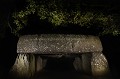 Dolmen de la Roche-aux-fees. Neolithique -2500 ans.
Commune d'Esse, Ille-et-Vilaine, Bretagne. France. Bretagne 
 Dolmen 
 France 
 Ille et Vilaine 
 Roche-aux-Fées 
 mégalithe 
 nocturne 
 nuit 