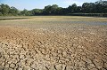 Marais à  sec en été sous la canicule Bretagne 
 campagne 
 canicule 
 eau 
 Finistère 
 manque 
 pénurie 
 réchauffement 
 sécheresse 
 terre 
