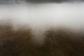 Orage à la saison des pluies dans le désert du Kalahari Central. Botswana. Photo prise depuis un avion. avion 
 ciel 
 climat 
 clouds 
 dry 
 météo 
 nuages 
 nuées 
 plane 
 pluie 
 rain 
 saison 
 sec 
 semi-aride 
 semi-desert 
 sky 
 storm 
 temps 
 weather 
