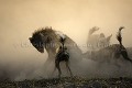 Agression féroce entre une meute de 21 lycaons sur une hyène tachetée (matriarche du groupe).
Nord du Delta de l'Okavango, Botswana
Northern Okavango Delta, Botswana Lycaon,
Wild,
Dog,
chien,
sauvage,
Lycaon pictus,
pictus,
agression,
Hyène,
Hyena,
spotted,
fight,
Botswana,
Okavango,
 