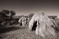 Huttes de Bushmen. Désert du Kalahari Central. Botswana Huts 
 huttes 
 village 
 Bushmen 
 Botswana 
 traditional 
 traditionnelle 
 case 