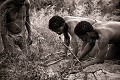 Chasseurs Bushmen sur un terrier de lièvre sauteur, une de leurs proies favorites. Désert du Kalahari Central. Botswana. Botswana 
 Bushmen 
 people 
 Kalahari 
 Central 
 Desert,
hunters,
chasseurs,
hunting,
men,
 