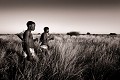 Chasseurs Bushmen dans le désert du Kalahari. De gauche à droite : Qhaikgao, Xaiga, Qabate, Qoma, Xame. Botswana. Botswana 
 Bushmen 
 people 
 Kalahari 
 Central 
 Desert ,
hunters,
hunting,
chasseurs,
grasses,
herbes,
 