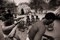 Famille Bushmen en train d'exécuter une danse traditionnelle autour du feu. Désert du Kalahari Central. Botswana. Botswana 
 Bushmen 
 people 
 Kalahari 
 Central 
 Desert,
dance,
danse,
dancing,
 