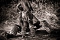 Bushmen, préparant son fils pour une danse traditionnelle pour les chasseurs. Désert du Kalahari Central. Botswana Botswana 
 Bushmen 
 people 
 Kalahari 
 Central 
 Desert ,
child,
father,
dance,
dancing,
danse,
 