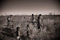 Clan de Bushmen dans le désert du Kalahari, cherchant de la nourriture. Botswana. Botswana 
 Bushmen 
 people 
 Kalahari 
 Central 
 Desert 
 Botswana,
grassland,
famille,
family,
group,
clan,
 
