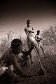 Bushmen en train de creuser et extirper du sol une racine riche en eau que les Bushmen peuvent boire durant la saison sèche, en grattant la racine et en pressant la pulpe d'où ils en tirent l'eau. Désert du Kalahari Central. Botswana. Botswana 
 Bushmen 
 people 
 Kalahari 
 Central 
 Desert 
 Botswana,
water,
root,
surviving,
skills,
survivre,
connaissance,
environnement,
 
