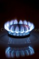 Flamme de Gaz Naturel dans une cuisine. France 
 bleu 
 cuisine 
 cuisinière 
 cuisson 
 flamme 
 gaz 
 maison 
 naturel 
 plaque 
 quotidien 
 énergie 
 France, 