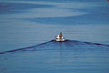 Baie de Lampaul Ouessant pêche plate barque sillage eau mer tranquilité Bretagne été tradition quiétude 