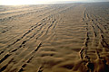 Orientation des dunes en fonction des vents dominants parallèles à la côte.
Côte des squelettes. Désert du Namib. Dunes champ vent orientation parallèle Namib sable Namibie désert côte squelettes 
