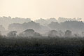 Moremi Game Reserve. Botswana fumée incendie feu brousse Botswana Delta Okavango zone humide Afrique 