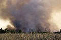 Feu de tourbe naturel. Reserve de Moremi. Botswana. Botswana reserve Okavango incendie Delta Afrique feu brousse tourbe naturel 