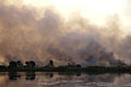 Feu de tourbe naturel. Reserve de Moremi. Botswana Feu brousse naturel Delta Okavango tourbe zone humide Afrique Botswana incendie 