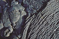 Lave dite "Pahoehoe", terme Polynésien qui signifie "en corde".
Age de la coulée : 200 ans !!! lave cordée flot magmat volcan coulée Santiago archipel Galapagos point chaud Pacifique plaque épanchement géologie 
