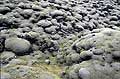  Islande coulée lave ancienne mousse végétation plante pionnière volcan basalte géologie nature 