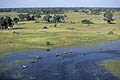 Delta de l'Okavango / Botswana Okavango Delta  Botswana pirogue bateau Mokoro gens tradition habitants eau rivière Afrique zone humide permanente 