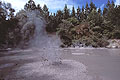 Zone géothermale de Rotorua. activité volcanique boue bouillir jaillir 