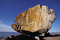 Trégunc / Finistère rocher granit lichen côte port Trégunc Finistère recouvrir végétation littoral jaune forme 