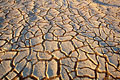  plaques argile sécheresse sol 