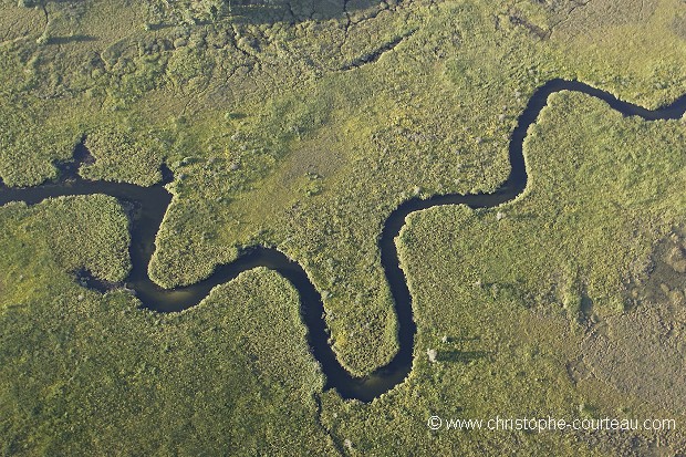 Chenal dans Delta de l'Okavango, Botswana