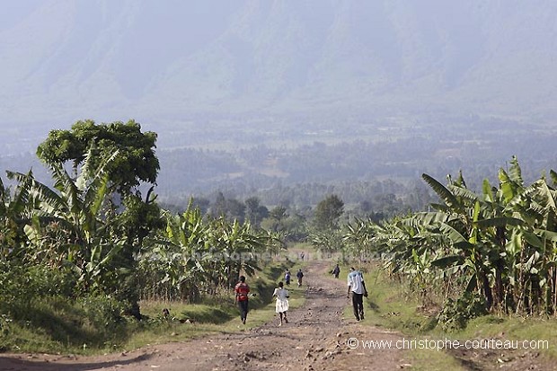 Piste et plantations au pied du volcan Sabyinyo