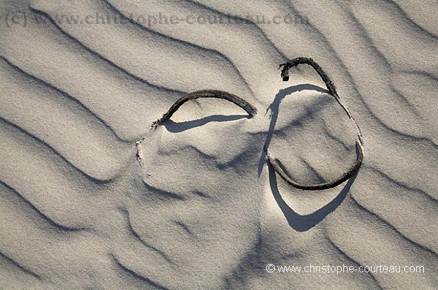 Formes dans le sable des dunes de la baie d'Audierne.