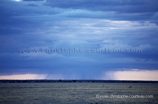 Orage et pluie sur le désert du Kalahari