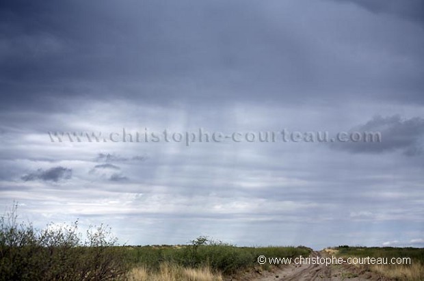 Orage et pluie sur le dsert du Kalahari