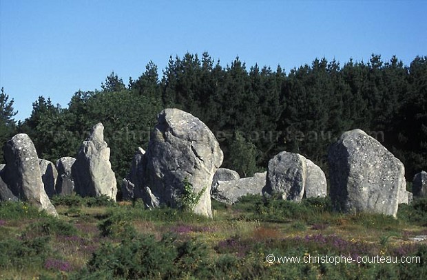 Megaliths of Carnac.
