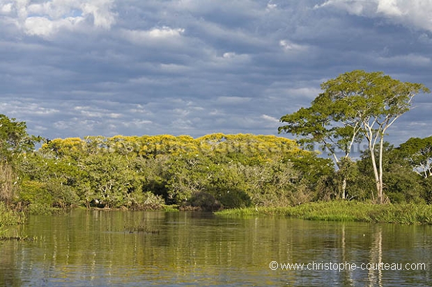 Pantanal Lanscape. Cuiaba River.