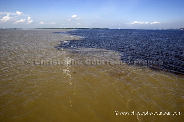 Manaus, Meeting of the Waters