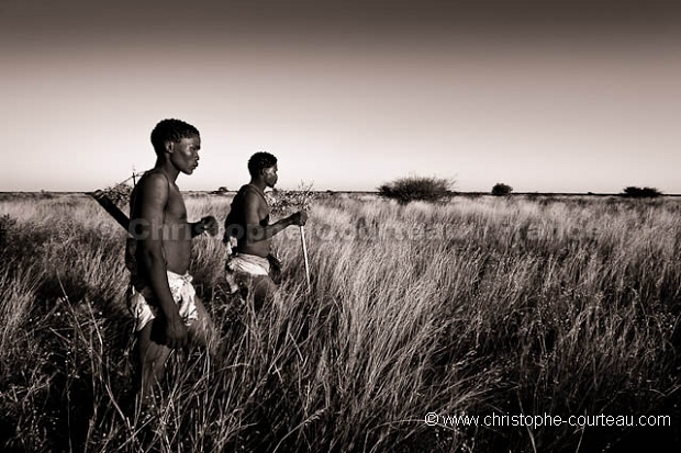 Chasseurs Bushmen au Botswana
